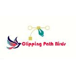 Clpping Path Birds