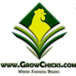Grow Chicks