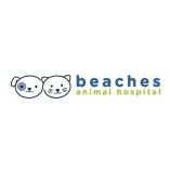 Beaches Animal Hospital