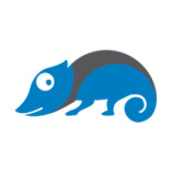 Chamaeleon AG logo
