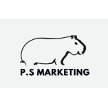 Paul Silva Marketing - Los Angeles SEO