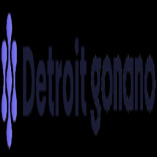 Detroit GoNano