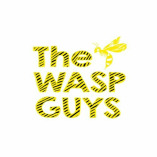 Surrey WASP Removal - The Wasp Guys