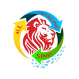 All Detailing Simba