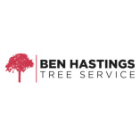 Ben Hastings Tree Service