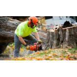 George Walton Tree Services