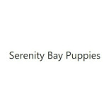 Serenity Bay Puppies