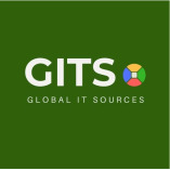 Global IT Sources