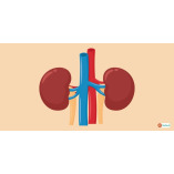 Kidney Dialysis Treatment in India