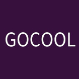 LYGOCOOLBAG