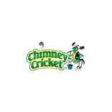 Chimney Cricket