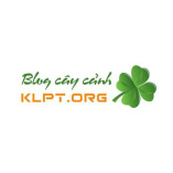 KLPT Blog Ca Canh