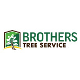 Brothers Tree Service NC