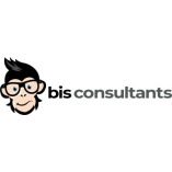 BIS Consultants