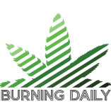 Burning Daily