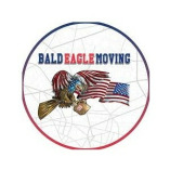 Bald Eagle Moving