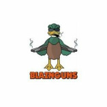 Blazn Guns Hunting
