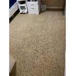 Carpet Cleaning Randwick