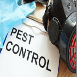 Crabtown Pest Control Solutions