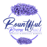 Bountiful Blessings LLC