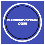 سایت بلوبری بت blueberrybet