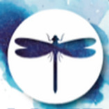 Lutz Ausbau GmbH & Co. KG logo