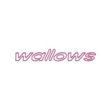 Wallows Merch