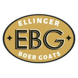 Ellinger Boer Goats