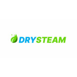 Drysteam