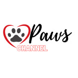 Paws Channel