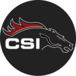 CSI:LA Perfection Nini Schäbel logo