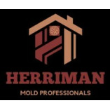 Mold Remediation Herriman Solutions