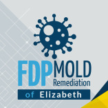 FDP Mold Remediation to Elizabeth