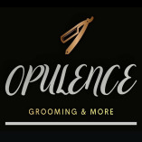 Opulence Grooming & More