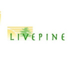 LivePine