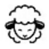 Authentieke Vloerkleden