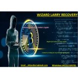 WIZARD LARRY RECOVERY CRYPTO