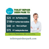 Toilet Repair Deer Park