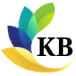 KB Tax Deviser CPAs