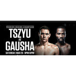 Tim Tszyu vs. Terrell Gausha Live Stream Free