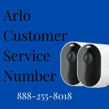 Arlo - Phone Number & Contact Information