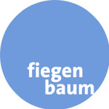 Fiegenbaum Solutions