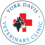 York Davis Veterinary Clinic