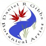 Daniel R Gibbs Botanical Artist