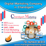 Digital Marketing Company in Chandigarh