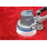 Carpet Cleaner in Harringay