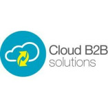 Cloud B2B Business Systems