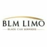 Boston Limo Mustache & Car service Inc