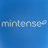 Mintense UK - International SEO Agency, Multilingual Google Ads