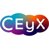 CEyX LTD